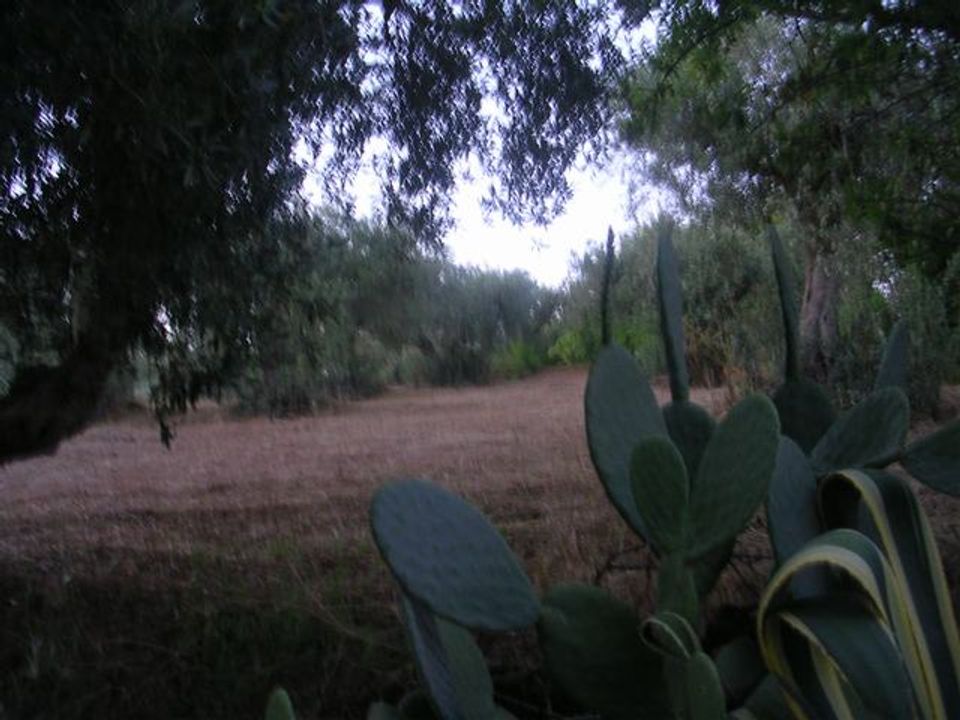Helårsgrund i Cianciana, Agrigento - foto 2